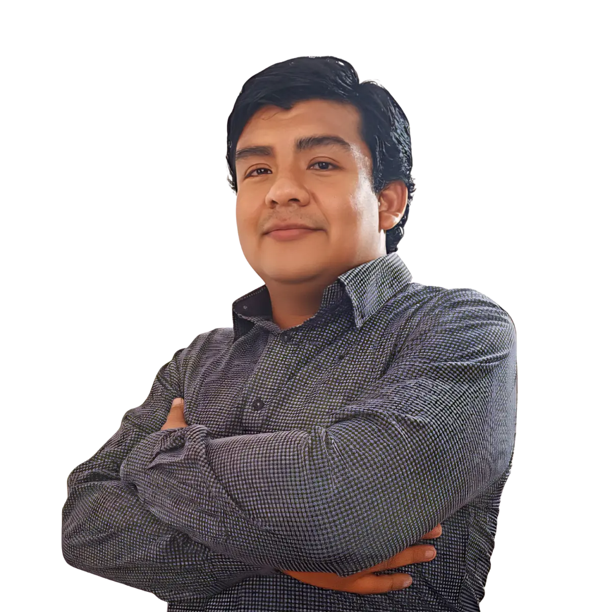Jefe de marketing y desarrollo web de la empresa brainiac monkeys.